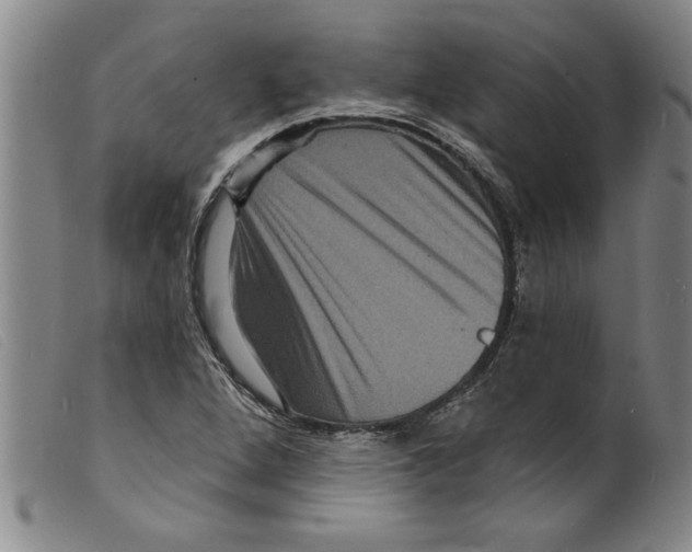 X0000098201264200805221533