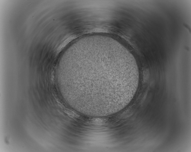 X0000098201266200805221533