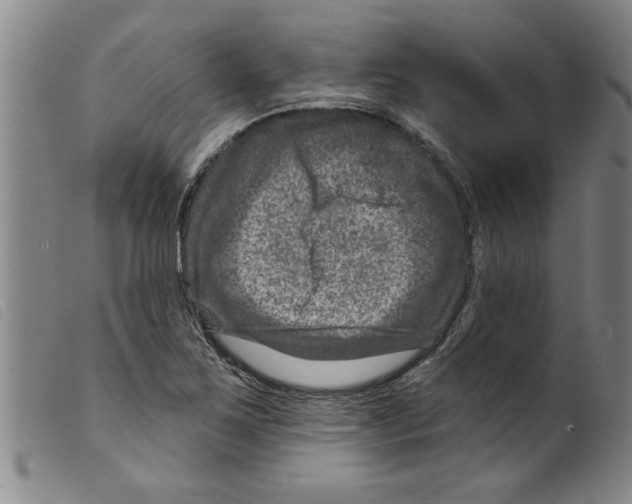X0000098201267200805221533