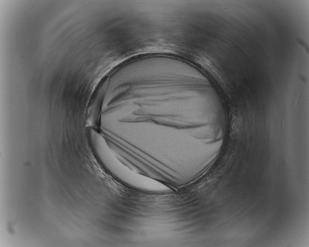 X0000098201268200805221533