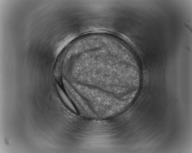 X0000098201269200805221533