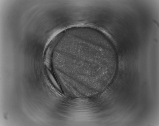 X0000098201270200805221533