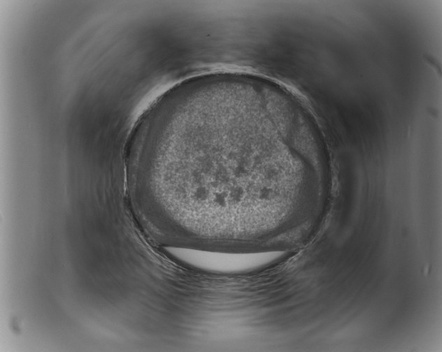 X0000098201271200805221533