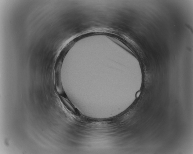 X0000098201272200805221533