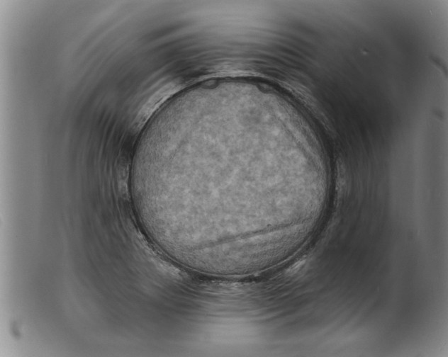 X0000098201273200805221533