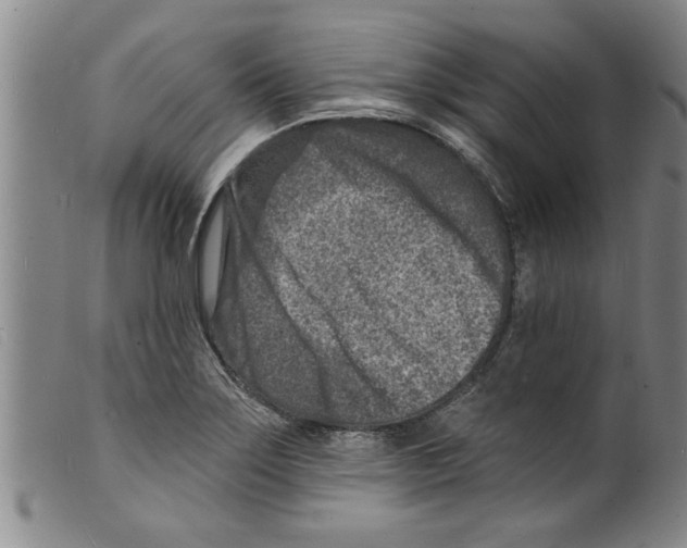 X0000098201275200805221533
