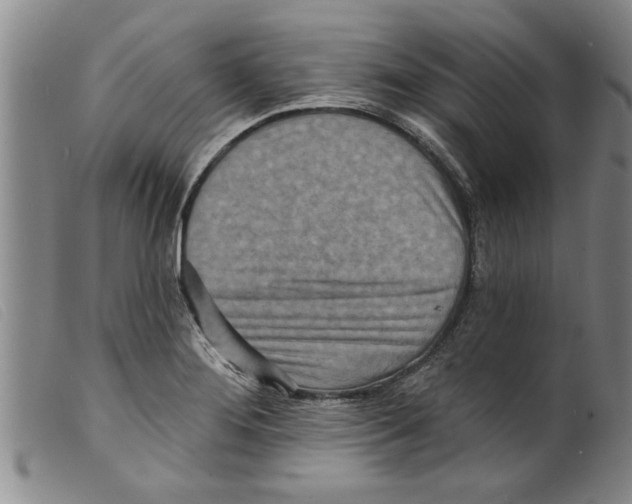 X0000098201276200805221533