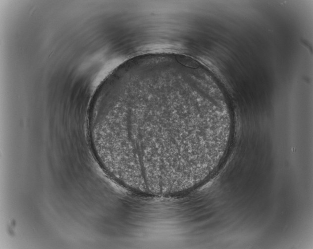 X0000098201277200805221533