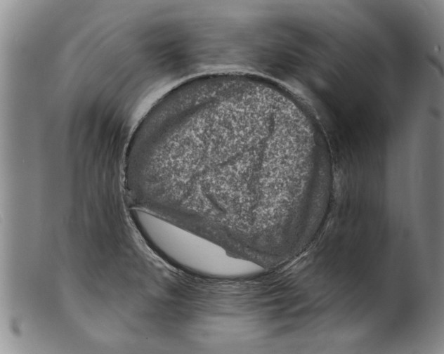 X0000098201279200805221533