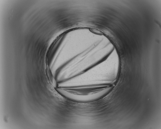 X0000098201280200805221533