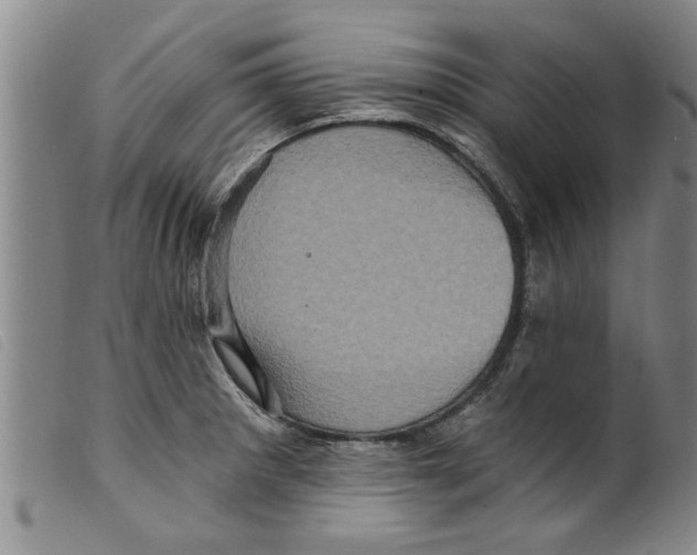 X0000098201281200805221533