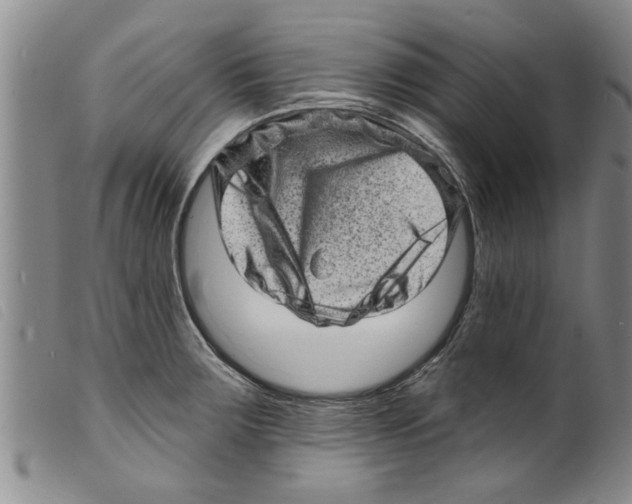 X0000098201283200805221533