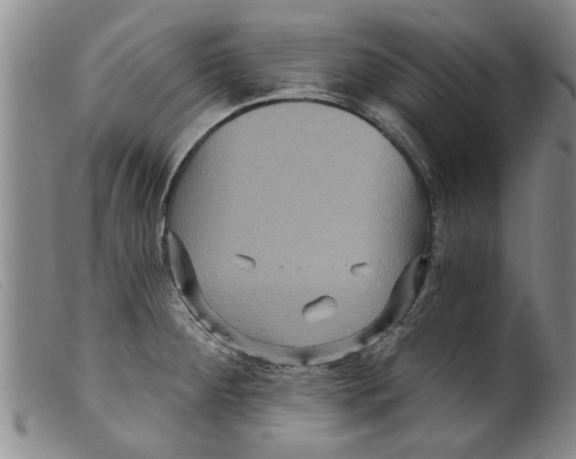 X0000098201284200805221533