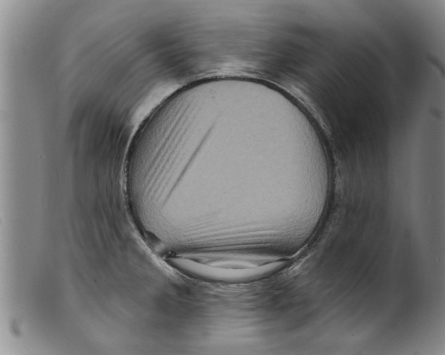 X0000098201285200805221533