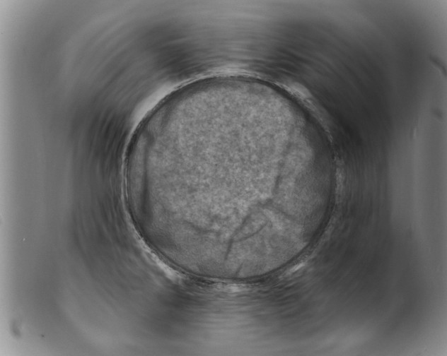 X0000098201286200805221533