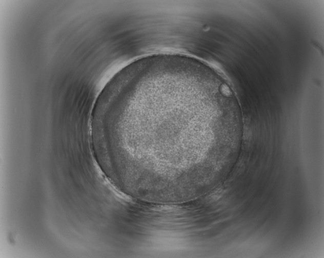 X0000098201287200805221533