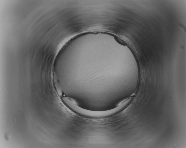 X0000098201288200805221533