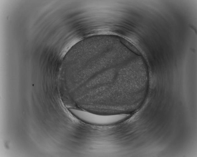 X0000098201289200805221533