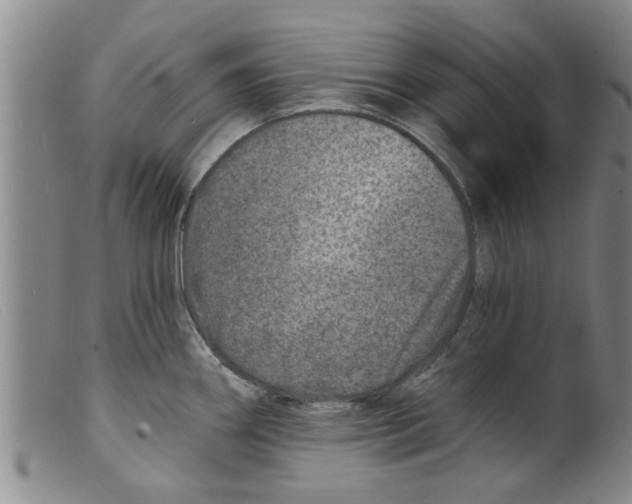 X0000098201290200805221533