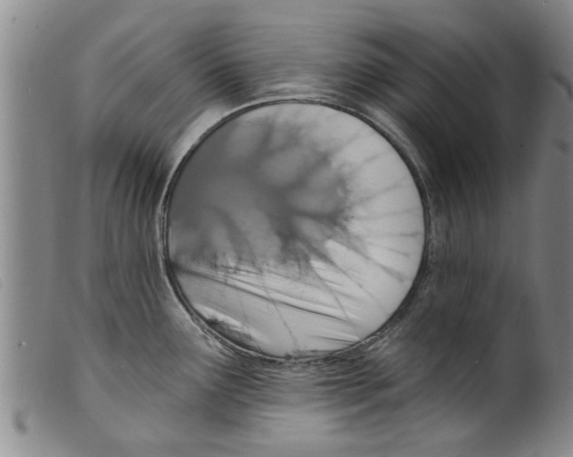 X0000098201291200805221533