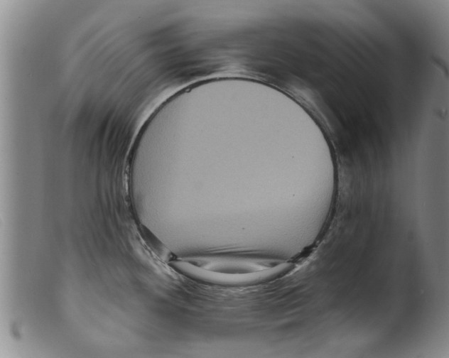 X0000098201292200805221533