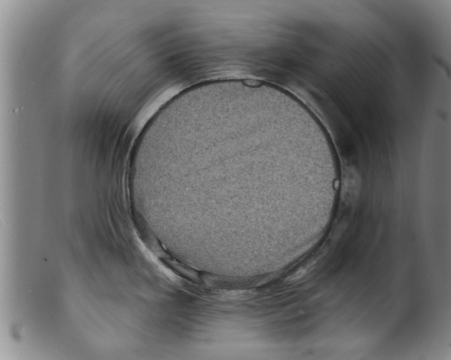 X0000098201293200805221533
