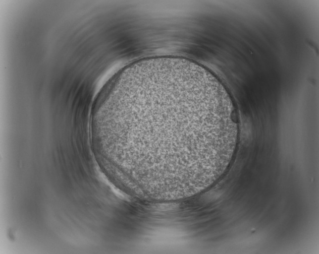 X0000098201294200805221532