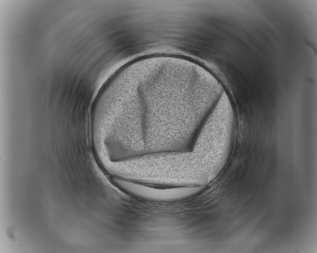 X0000098201295200805221532