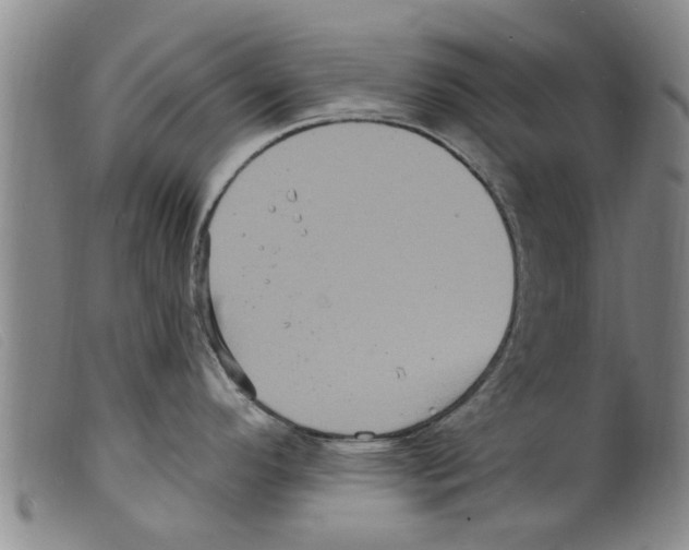 X0000098201296200805221532