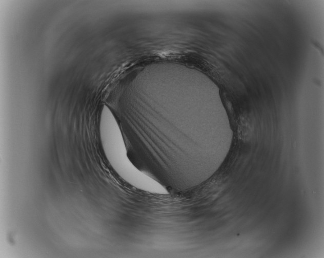 X0000098201298200805221532