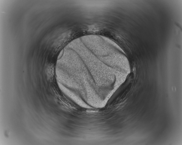 X0000098201299200805221532