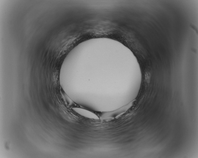 X0000098201300200805221532