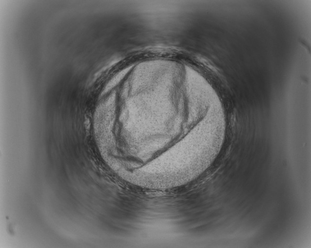 X0000098201302200805221532