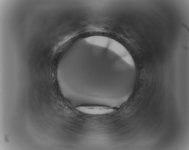 X0000098201303200805221532
