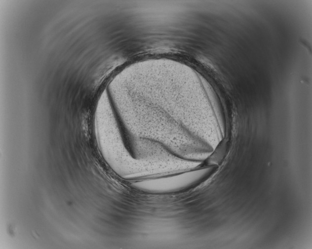 X0000098201305200805221532