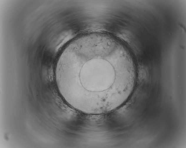 X0000098201306200805221532