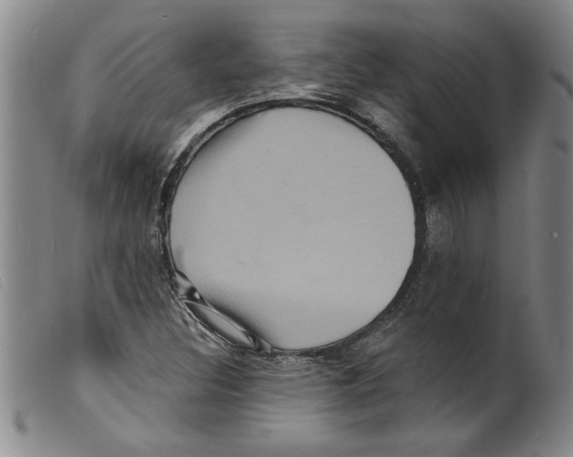 X0000098201308200805221532