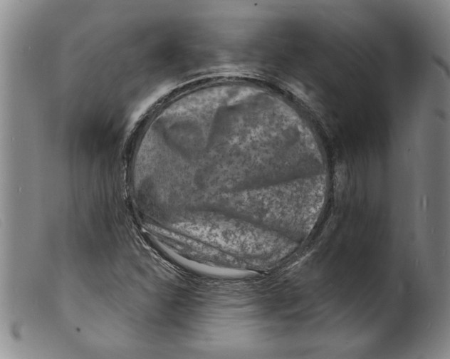 X0000098201310200805221532
