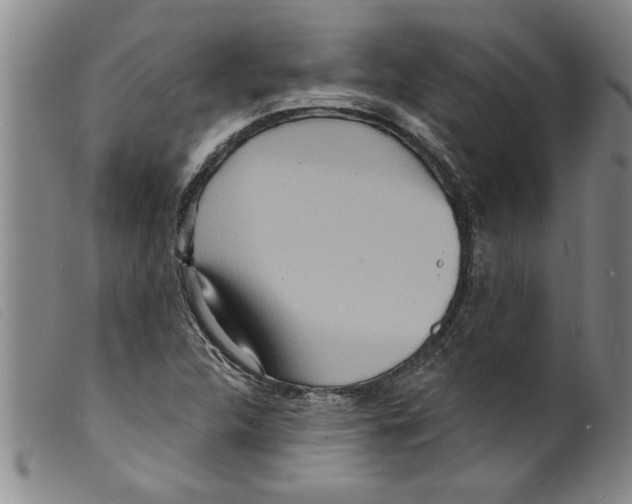 X0000098201312200805221532