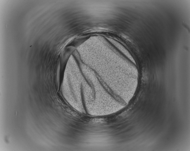 X0000098201313200805221532