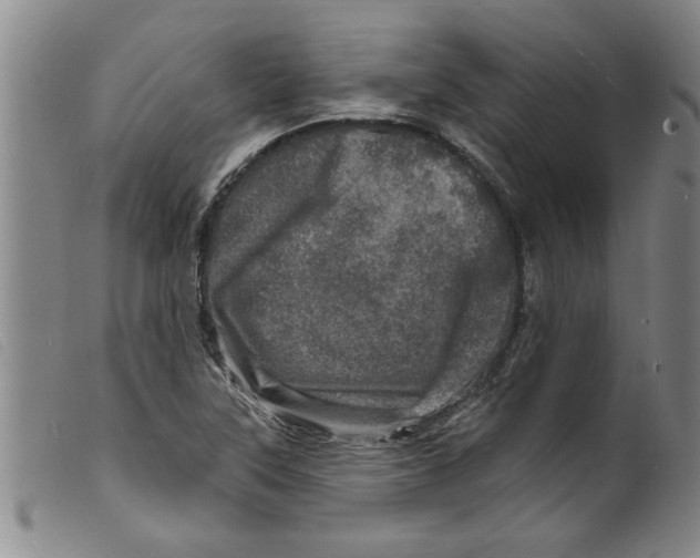 X0000098201315200805221532