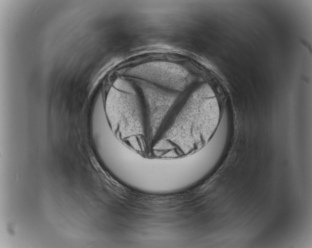 X0000098201318200805221532
