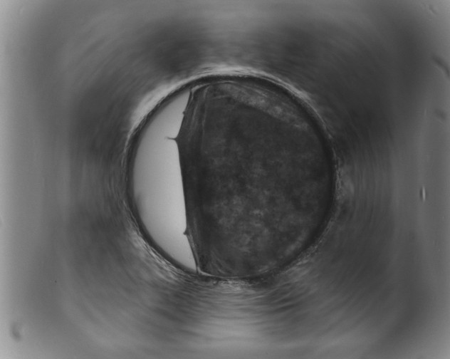 X0000098201319200805221532
