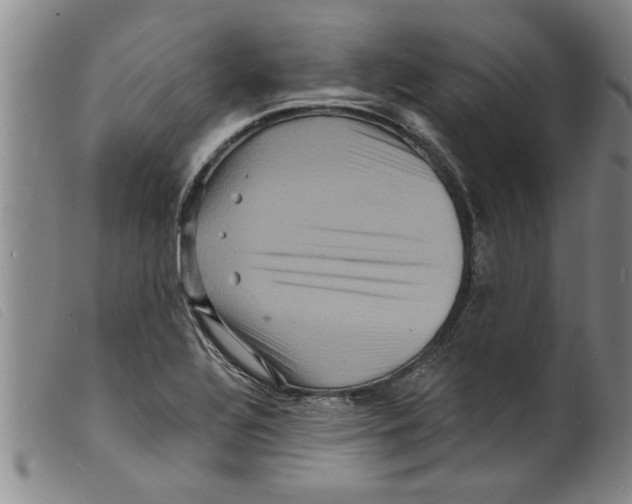 X0000098201320200805221532