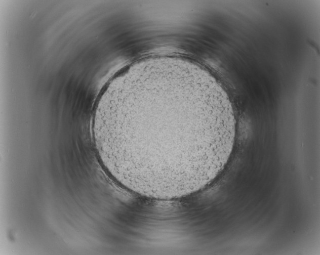 X0000098201322200805221532