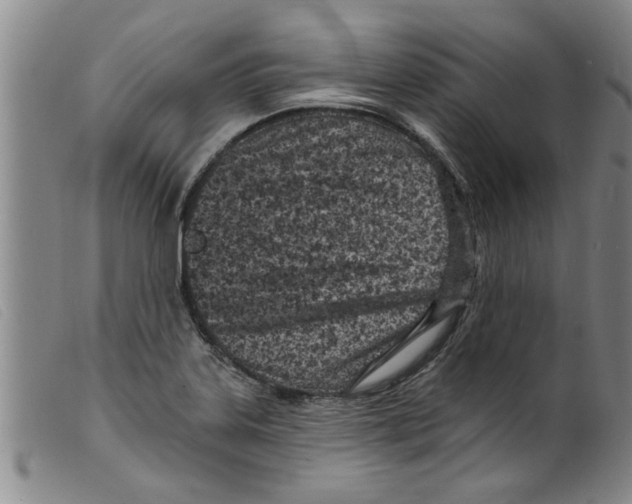 X0000098201323200805221532