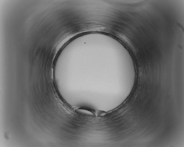 X0000098201324200805221532