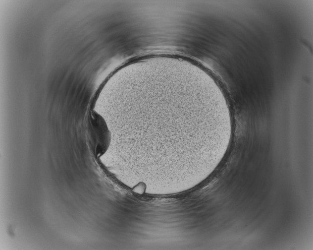 X0000098201325200805221532