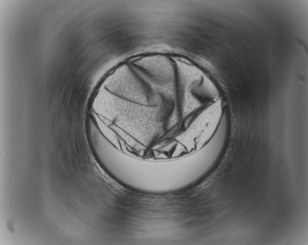 X0000098201326200805221532