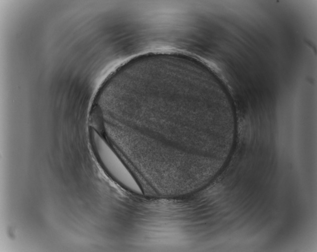 X0000098201327200805221532
